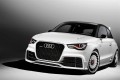 Foto 6 Audi A1 Clubsport Quattro de 500 CV foto 1