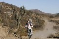 Foto 1 Dakar 2010: Sainz vuelve a ganar en la 12ma etapa y sueña con su primer Dakar. foto 1