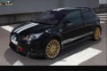 Foto 5 Ford presenta los Focus RS Le Mans Edition. foto 1