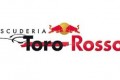 Foto 1 Toro Rosso se presentará el 1 de Febrero en Valencia foto 1
