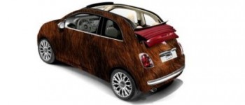 El Fiat 500, ofrece nuevas versiones en la Marcha del Orgullo 2010.