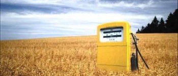 Obama quiere más biocombustible en Estados Unidos Obama quiere más biocombustible en Estados Unidos