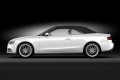 Foto 24 Primera galería de fotos del nuevo Audi A5 foto 1