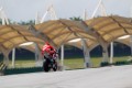 Foto 2 Pedrosa domina en Sepang y Márquez por los suelos foto 1
