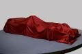 Calendario de presentaciones F1 Temporada 2010 - Fotograf�a 7179