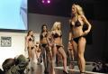 Ya tenemos Miss Tuning 2010 - Fotograf�a 9368