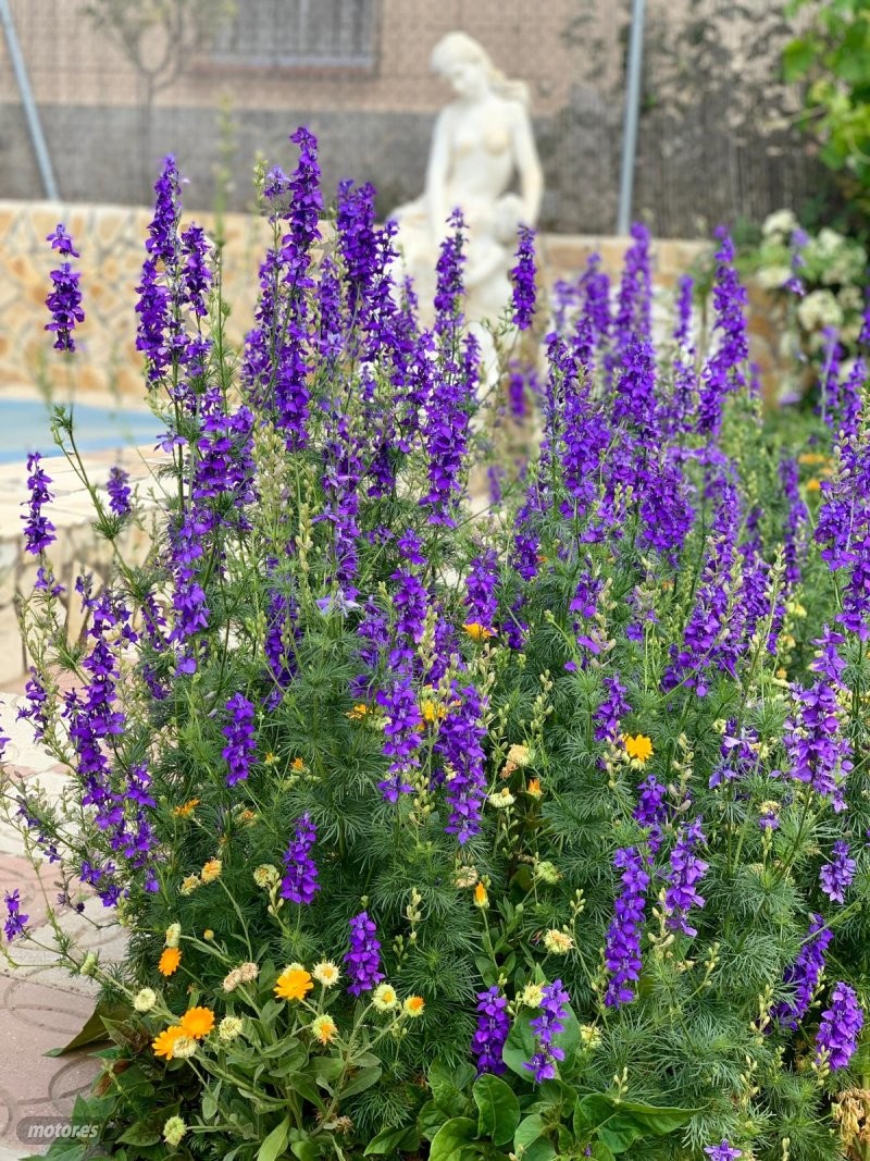 Hyundai ix35 1.7 D EXCLISIVE-KLIMATIZADOR A/C-LLANTAS de 2015 con 337.000 Km por 5.300 EUR. en Granada