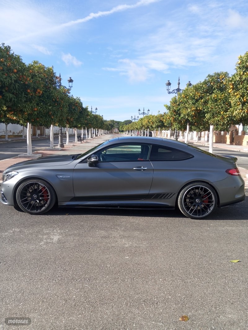 mercedes mercedes-amg gt 2017 / 59.999km. foto grande (3)