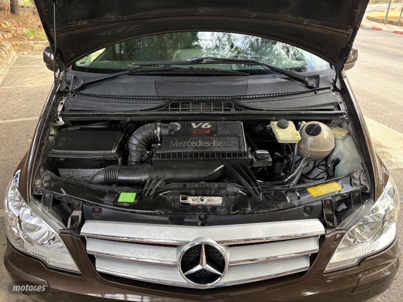 Mercedes Viano - foto 22