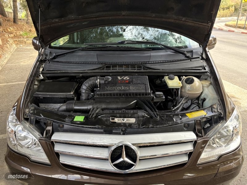 Mercedes Viano - foto 23