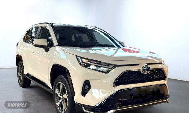 Brugt Toyota Rav4 