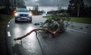 Volvo Cars y Volvo Trucks comparten datos de vehículos en vivo para mejorar la seguridad
