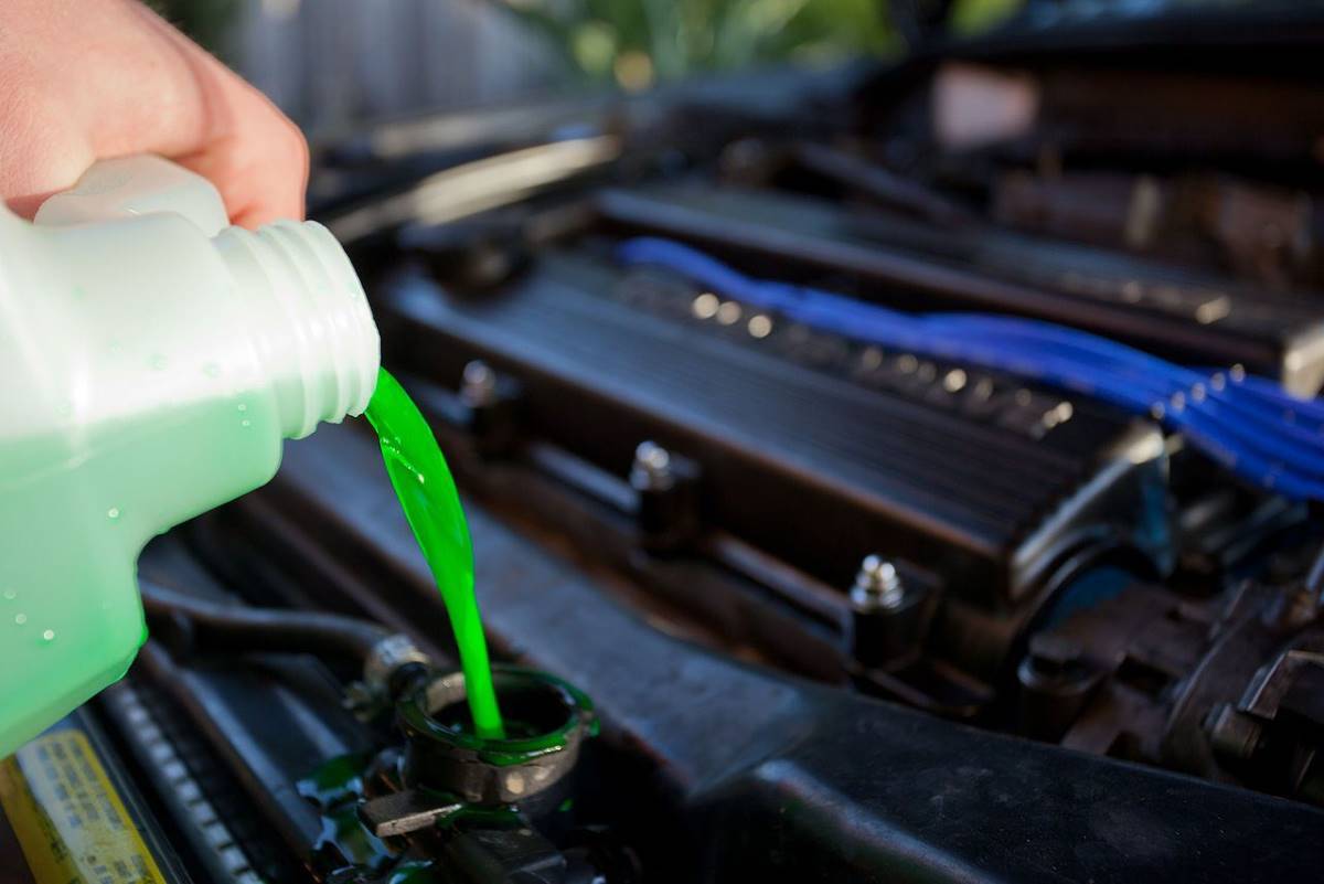 Cómo y cuándo hacer el cambio de anticongelante del coche - Motor.es